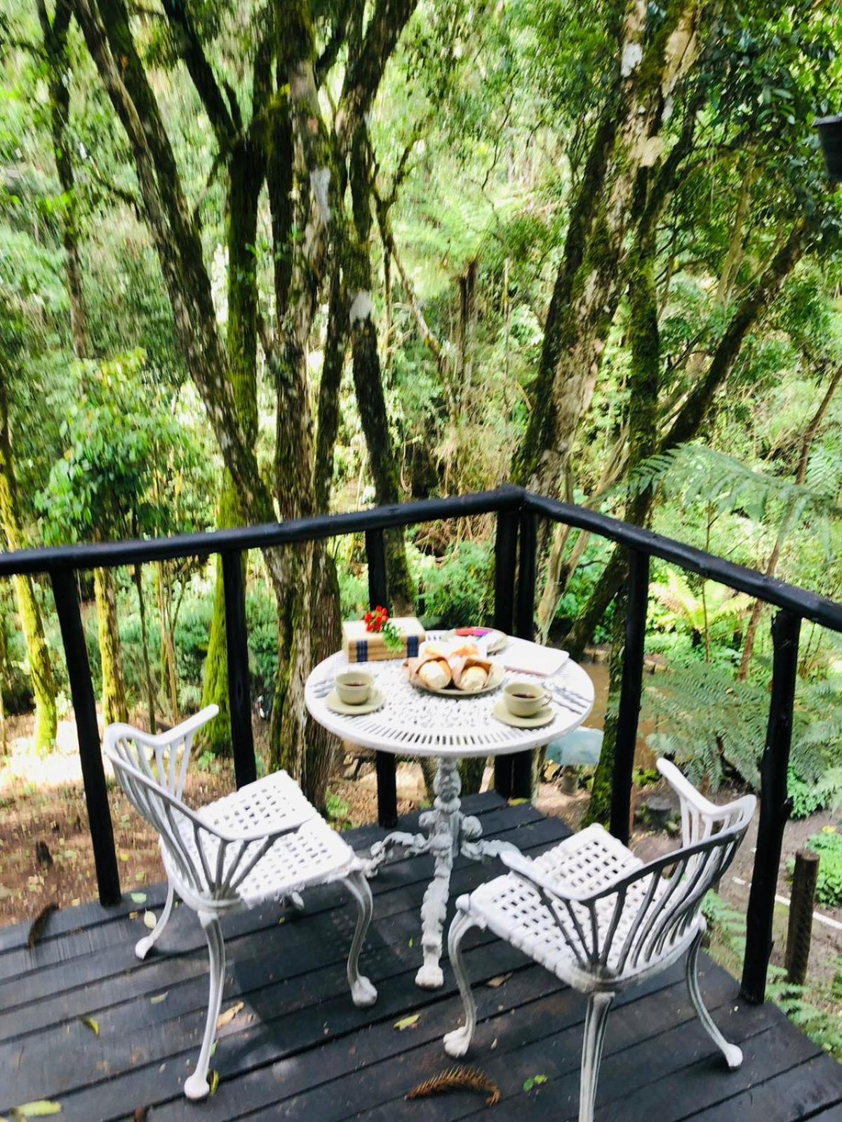 Little Com Hidromassagem * Campos do Jordão